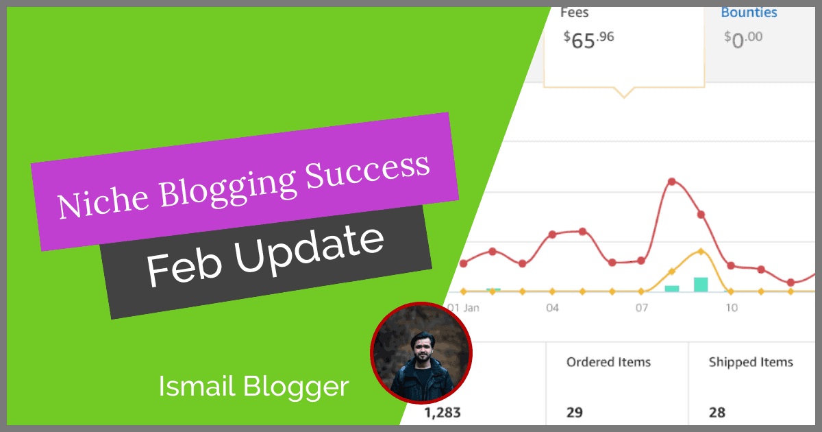 niche blogging Success project 2